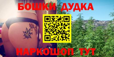 амф Тула