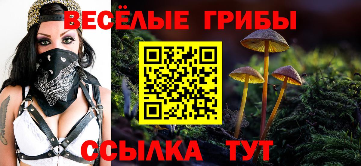 Псилоцибиновые грибы мицелий  Псилоцибиновые грибы Psilocybine cubensis  Майский  Вход с VPN 