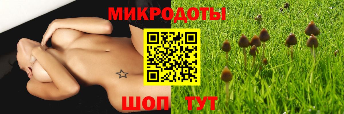 Галлюциногенные грибы Psilocybe Майский